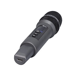 INF Double microphone sans fil avec récepteur fixe, pour la parole et le chant Black