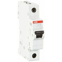 ABB S201-C16 Disjoncteur 16A (Import Allemagne)