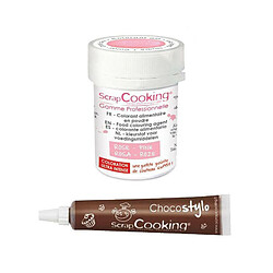 Scrapcooking Colorant alimentaire en poudre rose poudré + Stylo chocolat