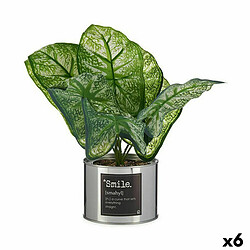 Ibergarden Plante décorative Caladium Métal Plastique 26 x 26 x 26 cm (6 Unités)