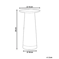 Avis Beliani Vase à fleurs MANNA Verre 26 cm Transparent