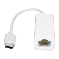 Avizar Adaptateur Ethernet RJ45 blanc pour Ordinateur Windows et Macbook, 1000 Mbps