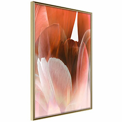 Paris Prix Affiche Murale Encadrée Tulip Petals 20 x 30 cm Or