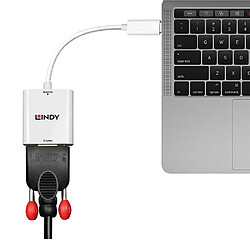 Lindy 43355 câble vidéo et adaptateur USB Type-C VGA (D-Sub) Blanc pas cher