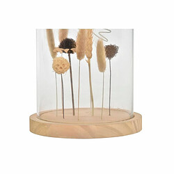 Avis Figurine Décorative DKD Home Decor Verre Naturel MDF (17 x 17 x 25 cm) (2 Unités)