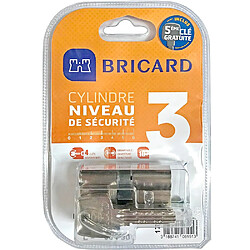 Lot de 2 cylindres de porte Bricard Astral 17152 débrayable 30+30 mm