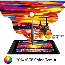 Tablette Huion Kamvas Pro 13 GT-133 pas cher