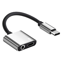 2in1 USB Type C Adaptateur 3.5mm Casque Jack u0026 Chargeur Câble Argent