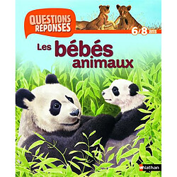 Les bébés animaux - Occasion