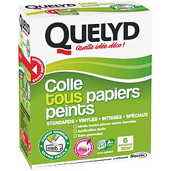 QUELYD - Colle tous papiers peints 300g 