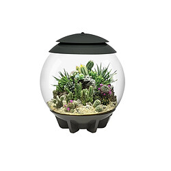 Terrarium automatisé 30l gris - Air30grey - OASE