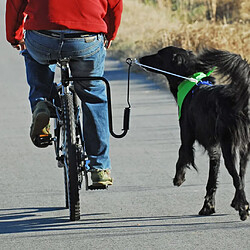 Acheter SPRINGER Kit d'exercice de vélo pour chiens