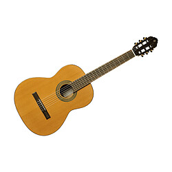 Guitare Eko