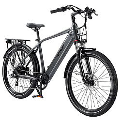 None TESWAY Vélo électrique, moteur 250 W, batterie 48 V 12 Ah, pneus 27,5 x 2,4 pouces, 25 km/h, autonomie 65 km- Gris