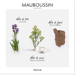 Acheter Mauboussin MB - Pour Lui - EDP 100ml