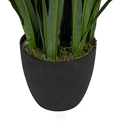 Acheter BigBuy Home Plante décorative Bambou - 45 x 45 x 110 cm