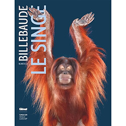 Billebaude, n° 23. Le singe - Occasion