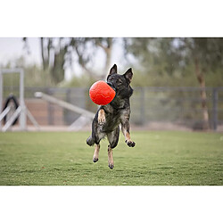 Jolly Pets Ballon de Foot de 20,3 cm