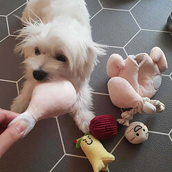 Jouet interactif pour chien en peluche à mâcher Snuffle Hide & Seek Game