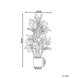 Avis Beliani Plante artificielle MAGNOLIA 70 cm