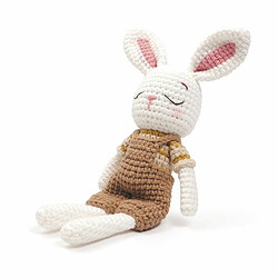 Acheter Graines Creatives Kit Crochet Mon Ami Gurumi Lapin