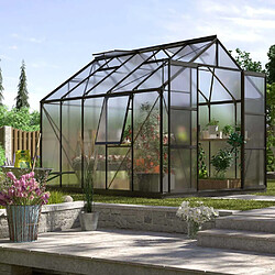 Vitavia Serre de jardin en polycarbonate 4 mm et aluminium noir avec embase Jupiter Longueur de 321 cm.