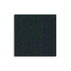 TOGA Flex thermocollant à paillettes - Noir - 30 x 21 cm