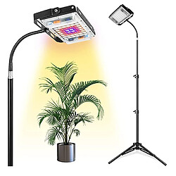 Avis INF Lampe LED sur pied pour plantes de 1,6 m avec minuterie et variateur Black