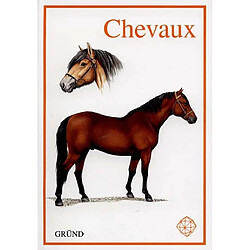 Chevaux - Occasion