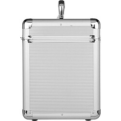 Avis Vinyl Case 80 Silver Walkasse