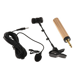 Avis Microphone Sans Fil MIC 6,5 Mm Avec Clip Pour Flûte Erhu, Etc.