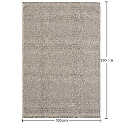 Acheter ICONIK INTERIOR Tapis (190x290 cm) - Alba Gris