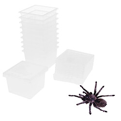 Avis 40pcs En Plastique Transparent Insecte Araignée élevage Contenant De La Boîte D'alimentation Vide