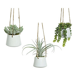 BigBuy Home Plante décorative 800073 Succulent 20 cm A accrocher Artificielle