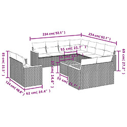 Avis vidaXL Salon de jardin 12 pcs avec coussins noir résine tressée