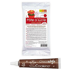 Scrapcooking Pâte à sucre rouge 250 g + Stylo chocolat