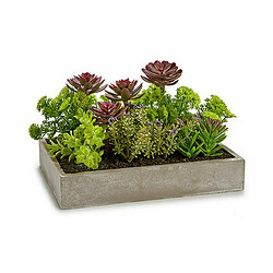 Ibergarden Plante décorative Succulent Plastique Ciment 16,5 x 20 x 28,5 cm (6 Unités)