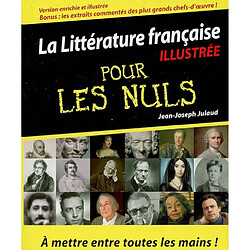 La littérature française illustrée pour les nuls - Occasion