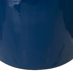 Acheter Vase Alexandra House Living Bleu foncé Métal 21 x 21 x 26 cm