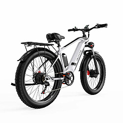 Acheter Duotts F26 Vélo Électrique - Moteurs 750W*2 Batterie 840WH 50KM Autonomie - Blanc argenté