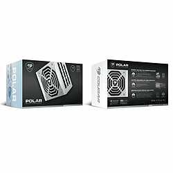 Acheter Bloc d’Alimentation Cougar Polar 80 PLUS Platinum 1200 W