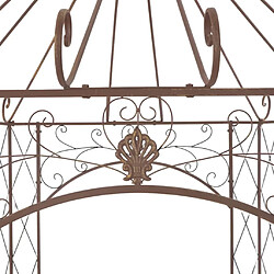 Avis vidaXL Pavillon de jardin Marron antique 400x258x378 cm Fer