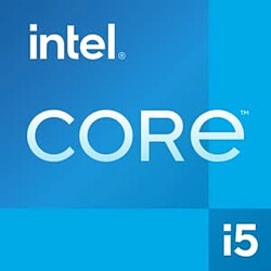 Avis Intel Core i5-13400F processeur 20 Mo Smart Cache Boite