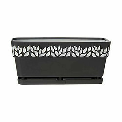 Avis Jardinière auto-arrosante Stefanplast Cloe Anthracite Plastique 13,3 x 12,3 x 29,3 cm (12 Unités)