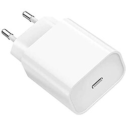 Chargeur Rapide 18W USB-C + Cable Type-C pour Samsung S21 / S21 PLUS / S21 ULTRA / S22 / S22 PLUS / S22 ULTRA Little Boutik®