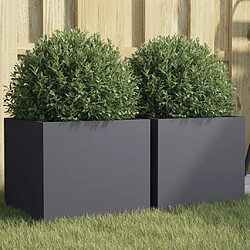 vidaXL Jardinières 2 pcs anthracite 32x30x29 cm acier