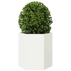 Acheter vidaXL Jardinières 2 pcs blanc hexagone 46x40x45 cm acier