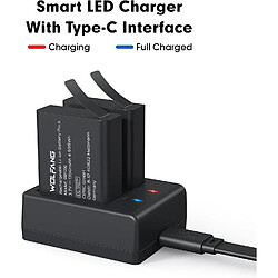 Avis SANAG Caméra D'Action Batterie Batterie Rechargeable 1350 Mah (2 Pièces) Avec Chargeur Usb Cargador Ga100/Ga200/Ga300/Ga320 (Gb1350)