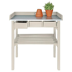 Avis Farm Folklore Table de jardinage en pin et zinc blanc.