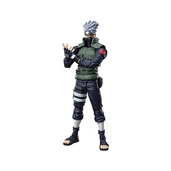 Tamashi Naruto Kakashi Hatake